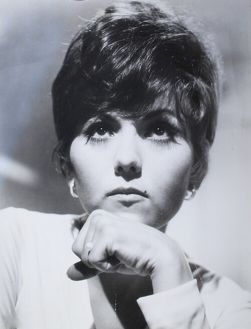 Fayl:Brenda Vaccaro.JPG