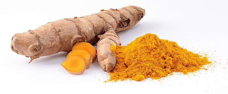 Fayl:Curcuma longa roots.jpg