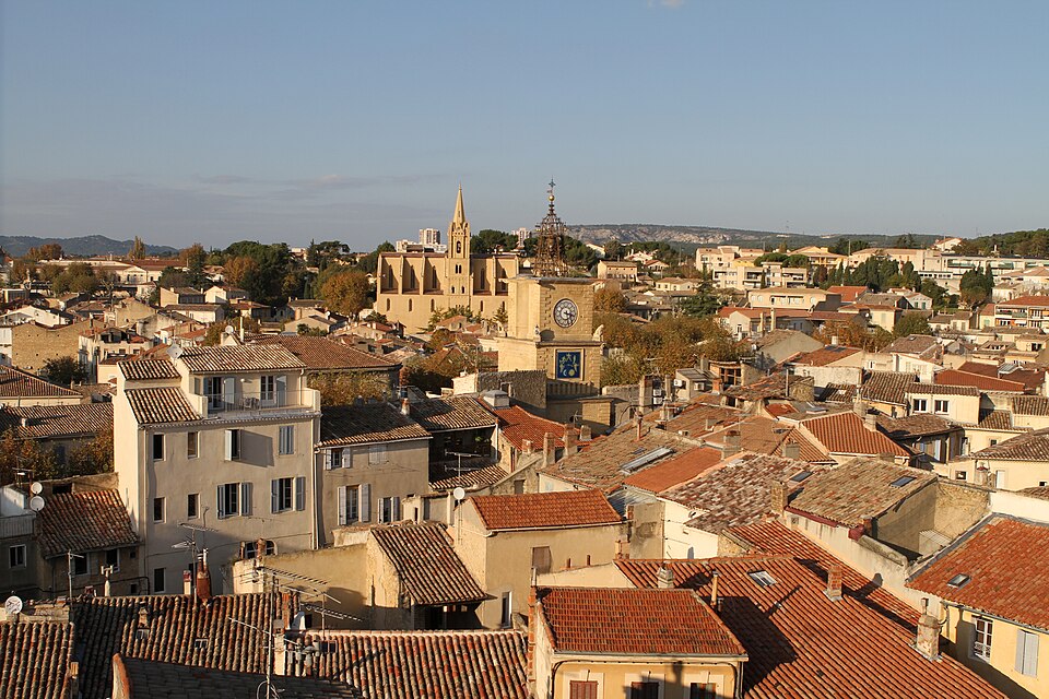 Fayl:Salon-de-Provence 20111112 32.jpg