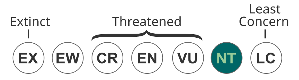 Fayl:Status iucn3.1 NT.svg