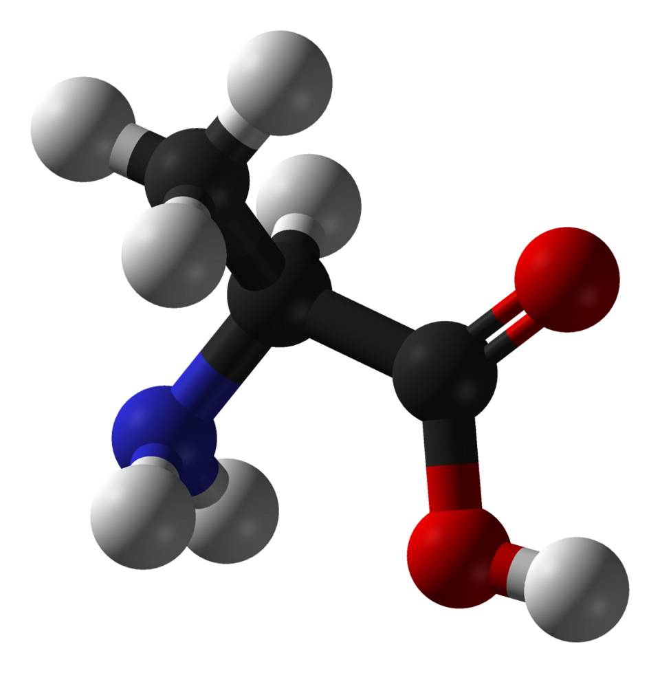 Fayl:L-alanine-3D-balls.png