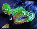 11:22, 2006-yil 16-noyabr dagi versiya uchun tasvir