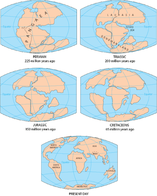 Fayl:Pangaea to present.gif