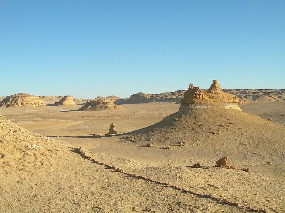 Fayl:Wadi Al-Hitan (Whale Valley)-113618.jpg