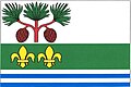 {{{rasmiy_nomi}}}ning bayrogʻi