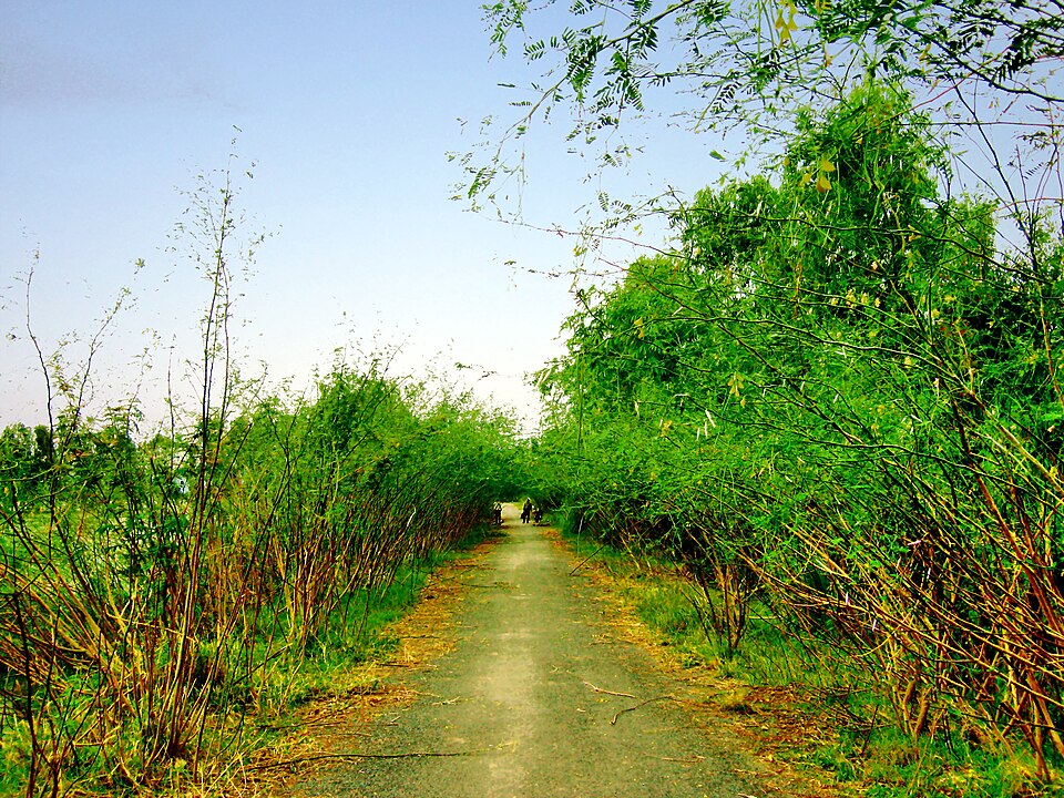 Fayl:Đường ở Ô Long Vỹ.jpg