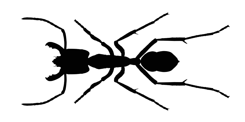 Fayl:Dinoponera quadriceps icon.svg