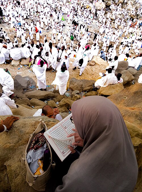 Fayl:Jabal-e-Rehmat (Mount Arafat).jpg