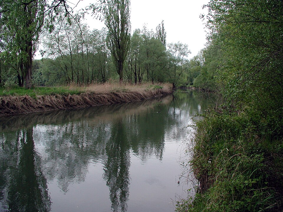 Fayl:Alter Rhein Hochst.jpg