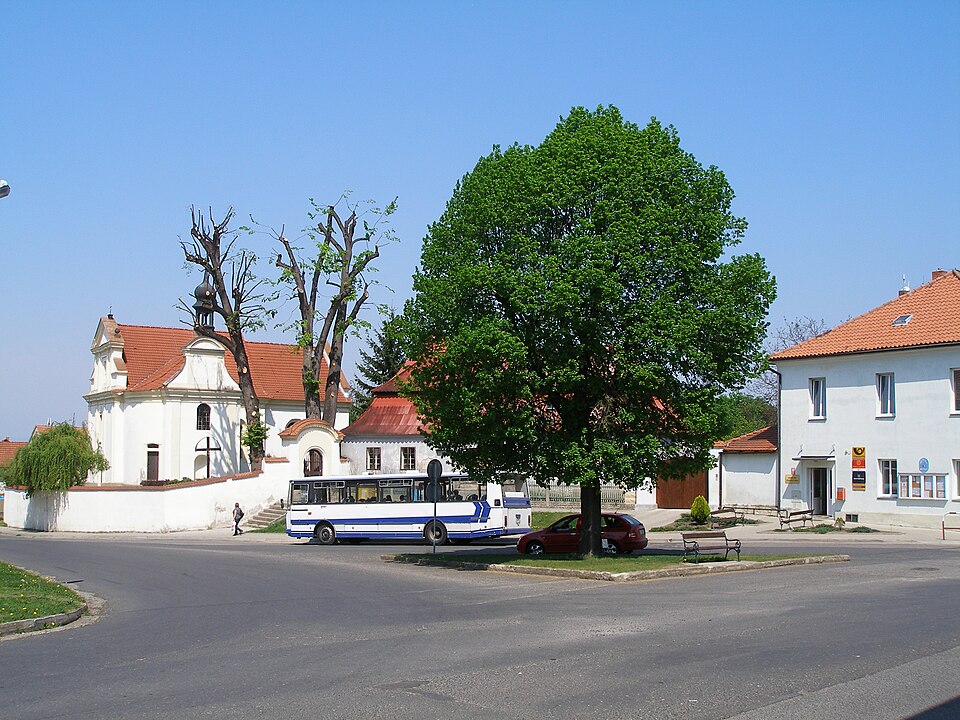 Fayl:Bechlín, strom na návsi (1).JPG