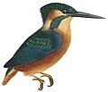 01:23, 2016-yil 26-aprel dagi versiya uchun tasvir
