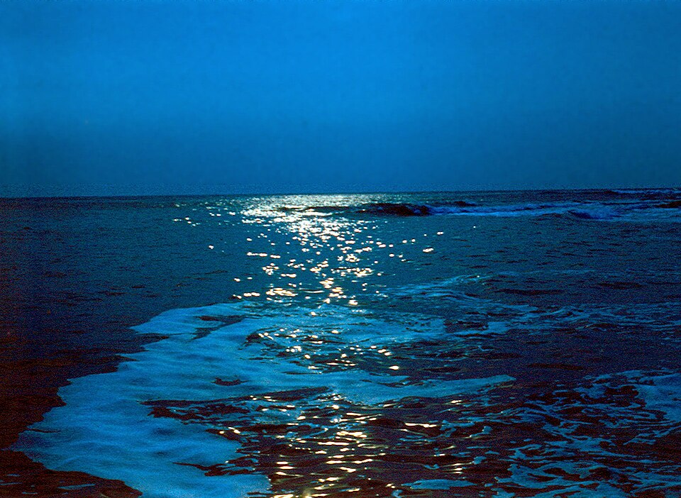 Fayl:Evening sea.jpg