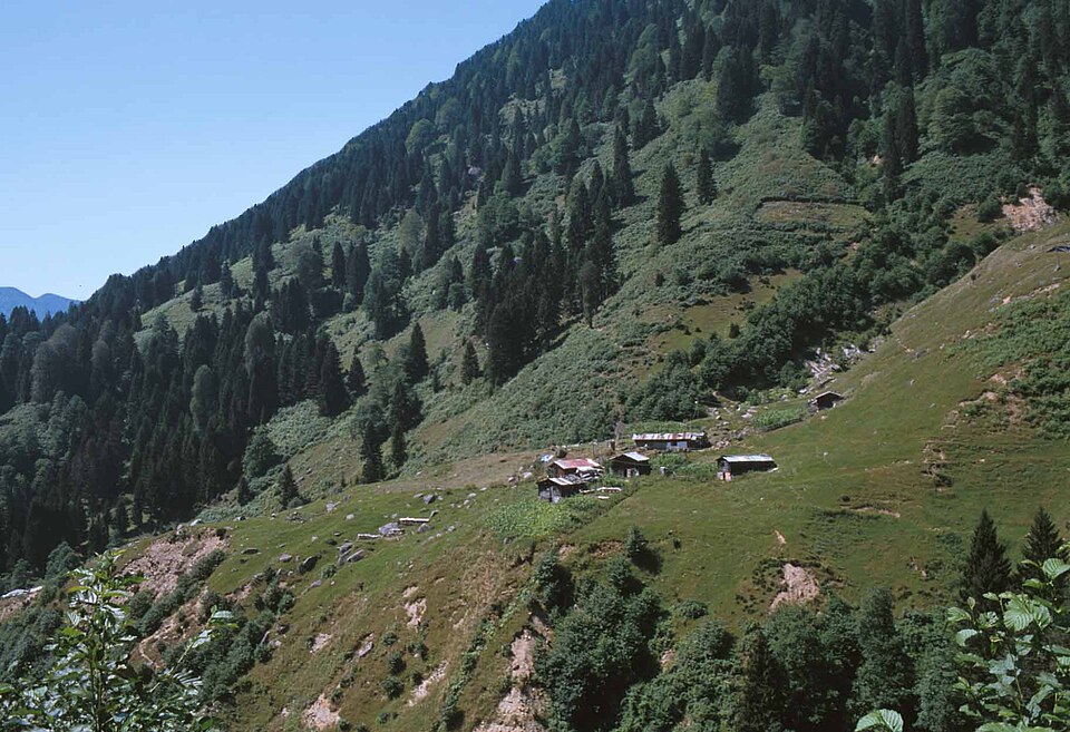 Fayl:Kackar Gebirge oberhalb von Ayder.jpg