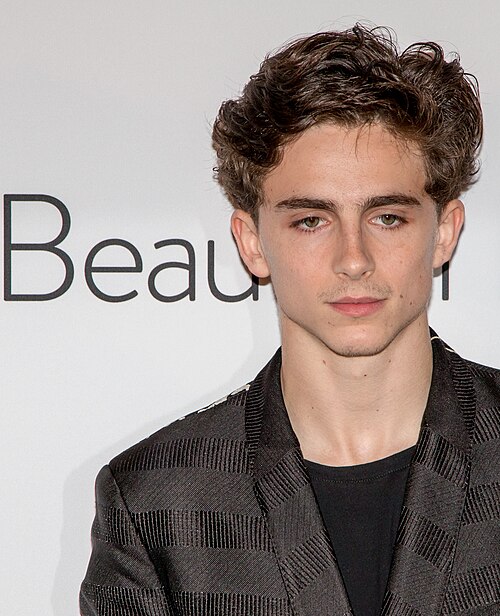 Fayl:Timothée Chalamet in 2018.jpg