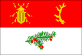 {{{rasmiy_nomi}}}ning bayrogʻi