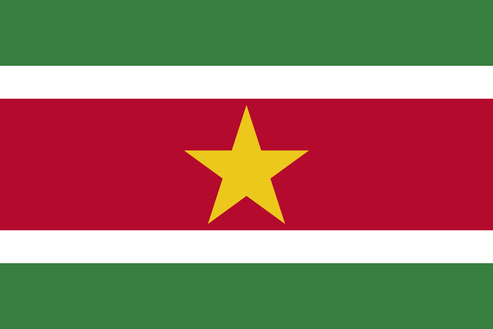 Fayl:Flag of Suriname.svg
