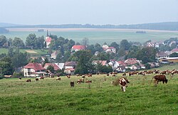 View of Herálec