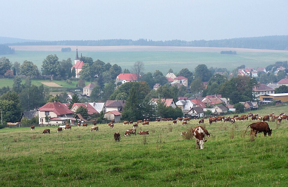 Fayl:Herálec (Vysočina) 2.JPG