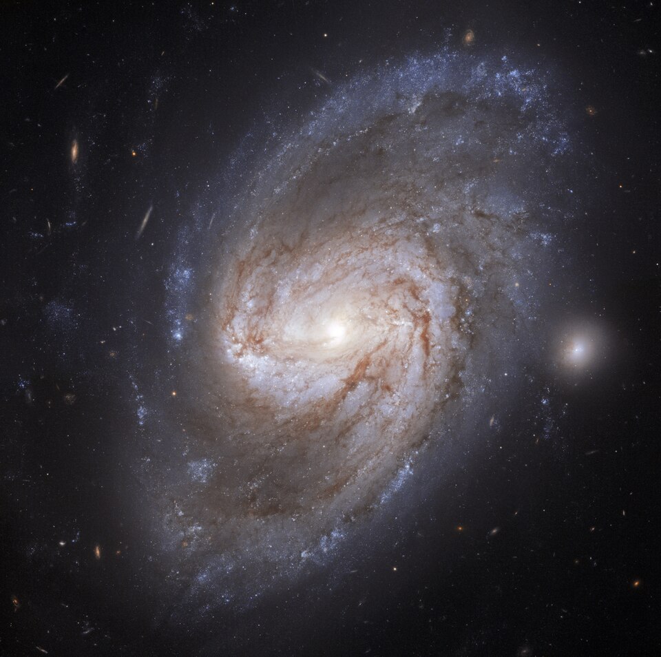 Fayl:NGC3583 - HST - Potw2018a.tif