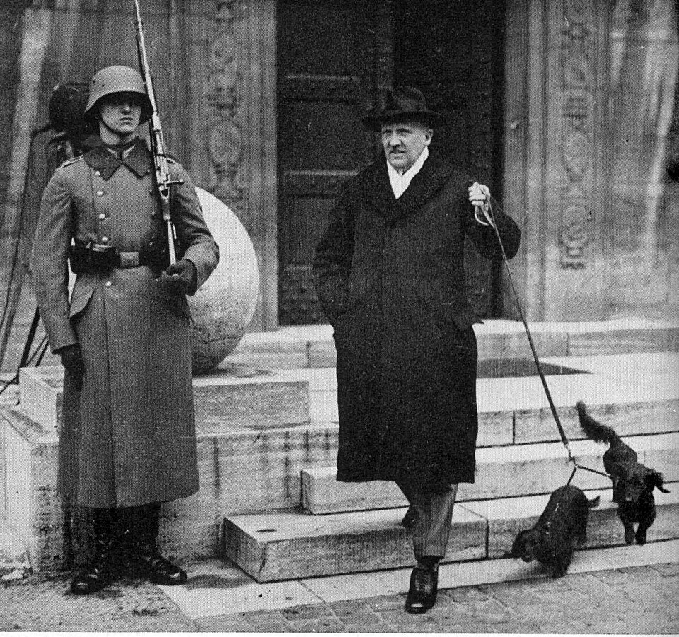 Fayl:Schleicher dismissed0001.jpg