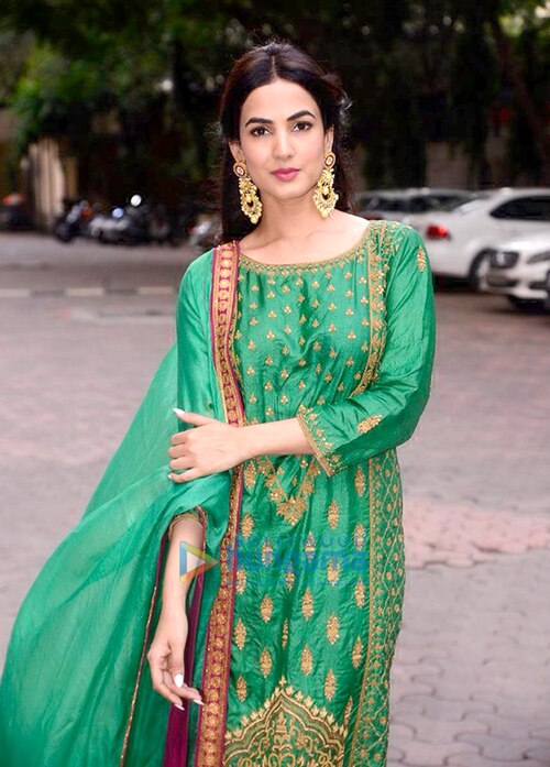 Fayl:Sonal-Chauhan-snapped-visiting-the-Lalbaugcha-Raja-Ganesh-peendal-6.jpg