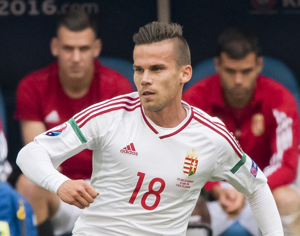 Fayl:1 Zoltán Stieber (cropped).jpg