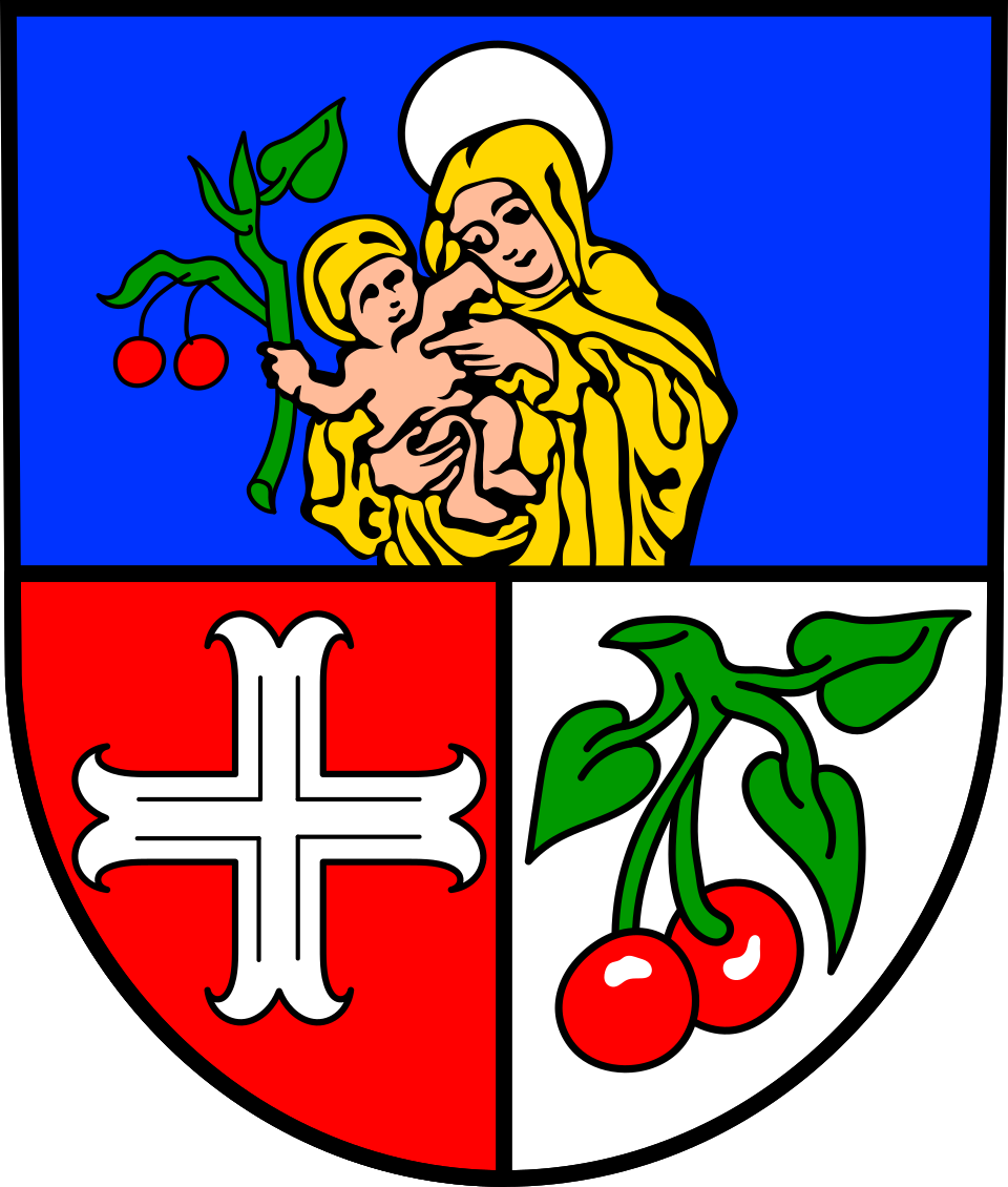 Fayl:DEU Börrstadt COA.svg