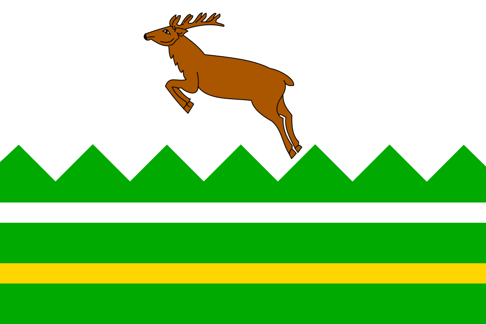 Fayl:Lesonice TR flag.svg