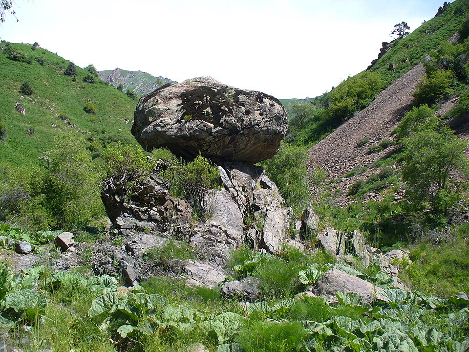 Fayl:Stone Mushroom.JPG
