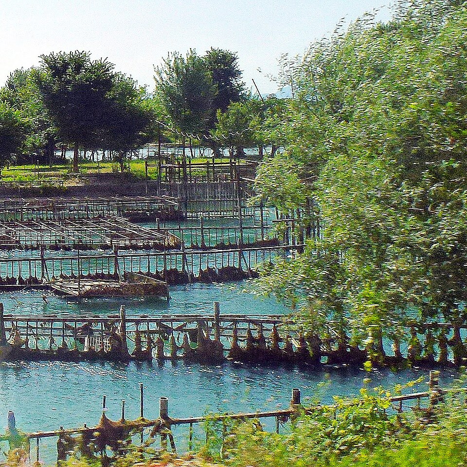 Fayl:Zus, Albania - panoramio.jpg