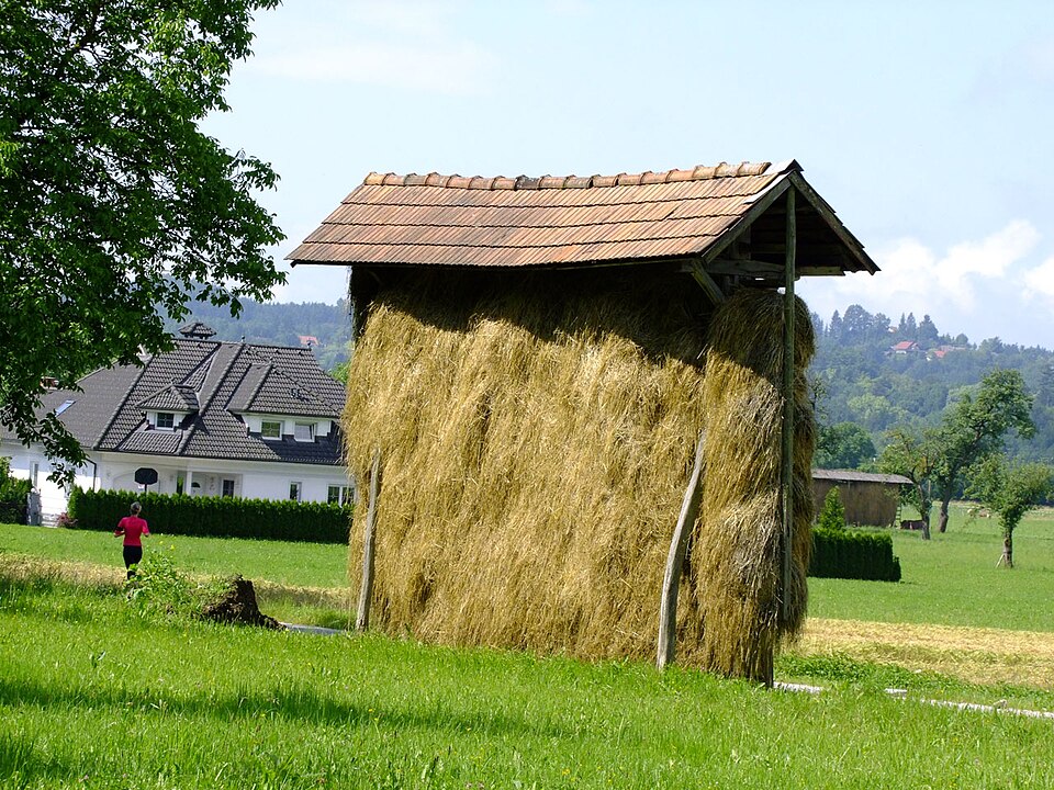 Fayl:Hayrack full.jpg