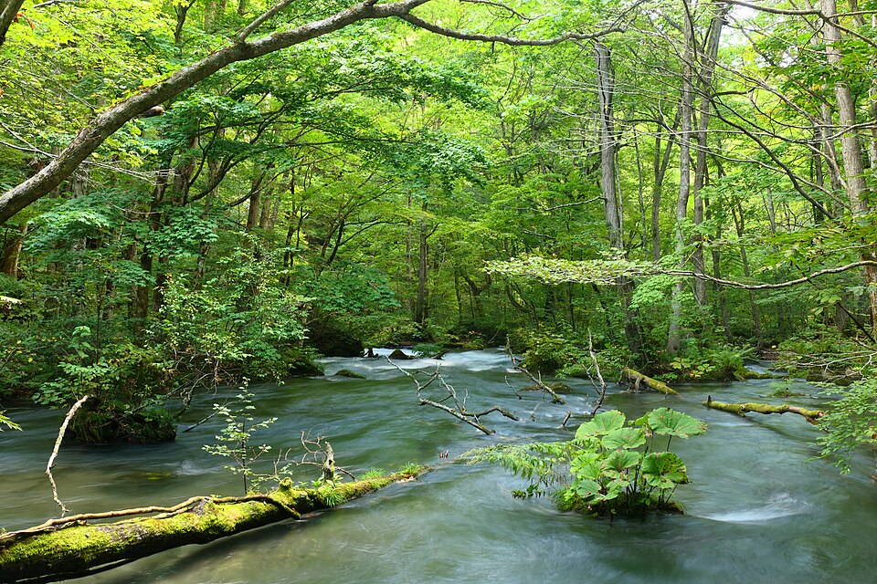 Fayl:Oirase-keiryu.jpg