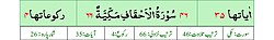 Qurʼon nusxalaridan biridagi Ahqof surasi sarlavhasi. Yuqorida oʻngdan: 1. Oyati 35, 2. Markazda qizil rangda sura tartib raqami 46, qora rangda - Ahqof surasi va Makkiy, qizil rangda nozil boʻlgan tartibi - 66, 3. Rukuʼsi soni - 4; Pastda oʻngdan: 1. Sura:Makkiy, 2. Tilovat tartibi:46, 3. Nozil boʻlish tartibi:66, 4. Rukuʼsi:4, 5. Oyati:35, 6. Porasi (Juzi):26 deb koʻrsatilgan.