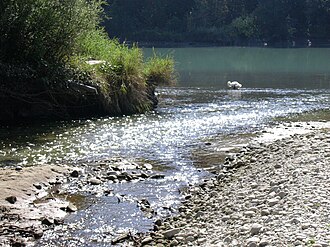 The Allondon meets the Rhône