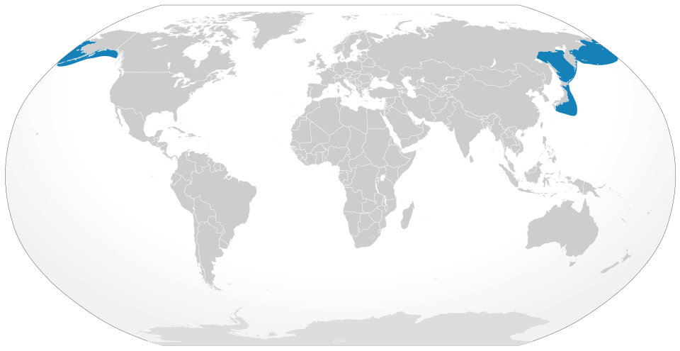 Fayl:Cypron-Range Eubalaena japonica.svg
