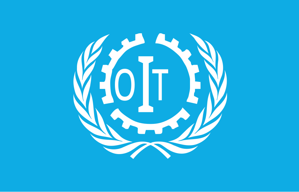 Fayl:Flag OIT.svg