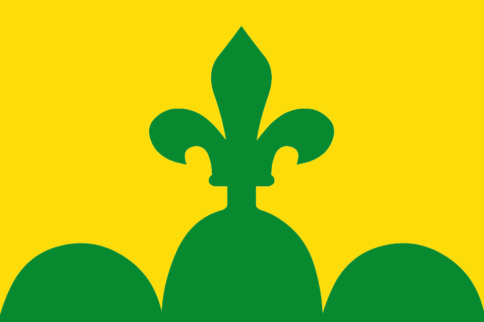 Fayl:Flag of Bellpuig.svg