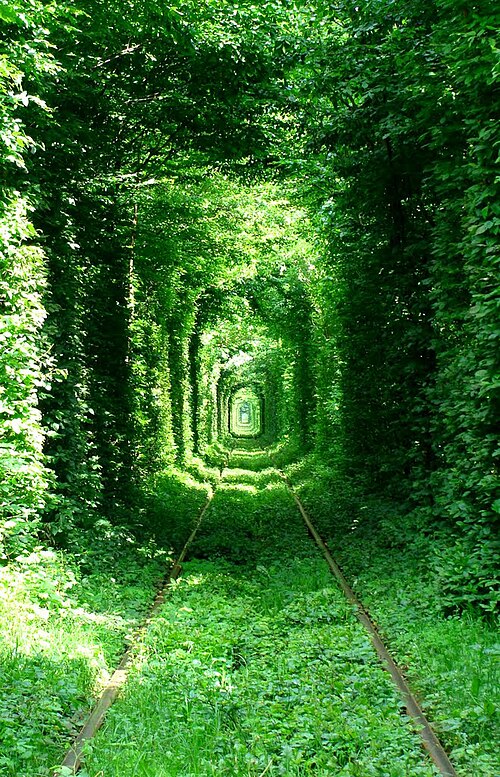 Fayl:Green Mile Tunnel, Rivne.jpg