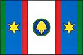Flag of Neustupov