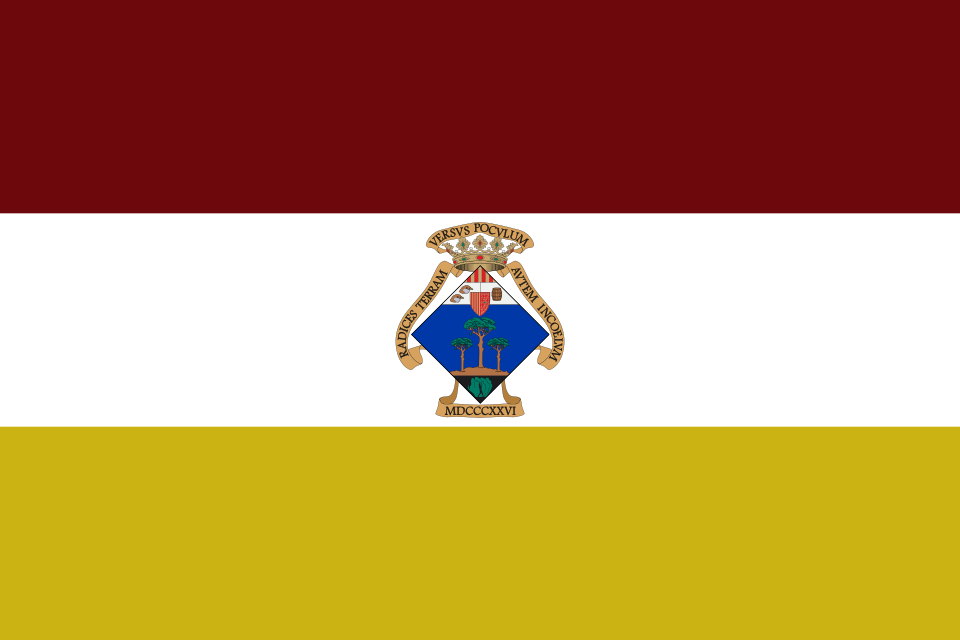 Fayl:Bandera del Pinós.svg