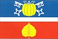 Flag of Dunice