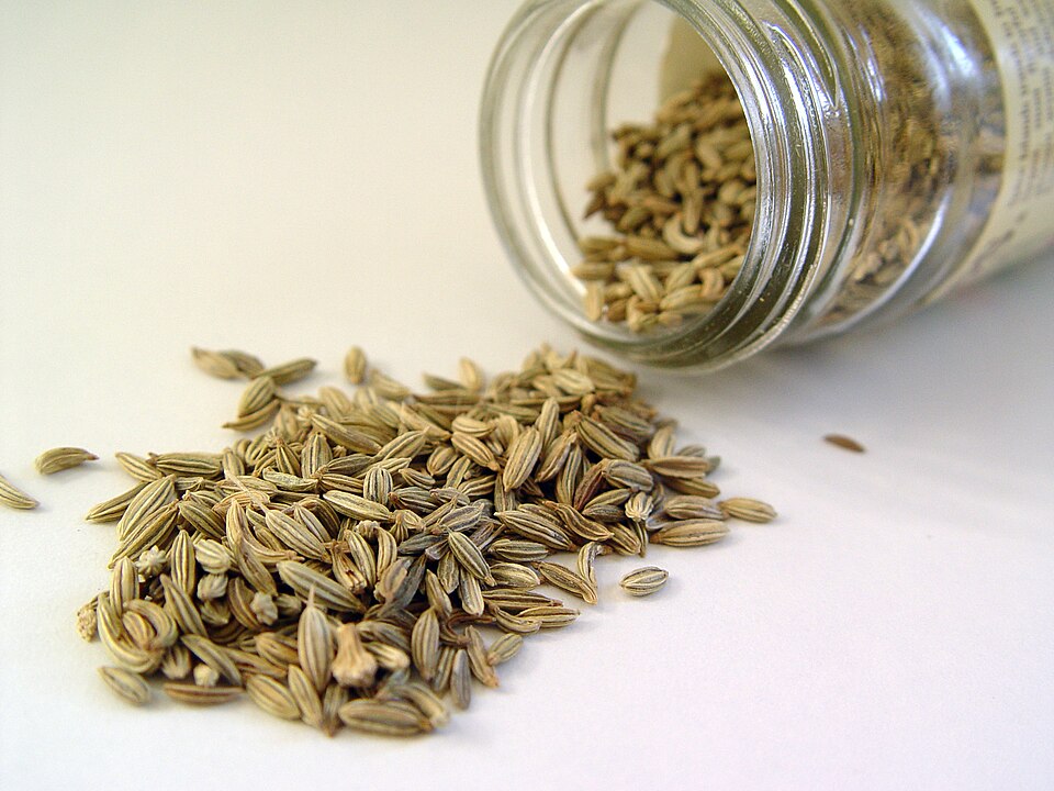 Fayl:Fennel seed.jpg