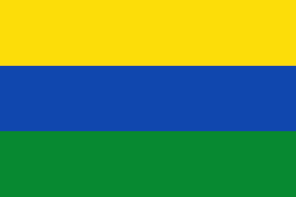 Fayl:Flag of Guainía.svg