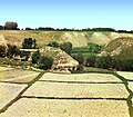 Samarqand atrofi