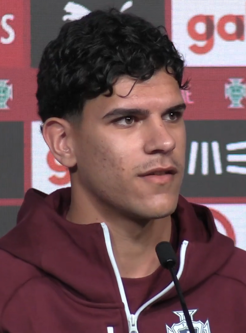 Fayl:Mateus Fernandes (Agência Lusa) cropped.png