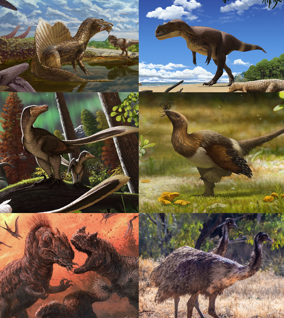 Fayl:Theropoda Diversity.png
