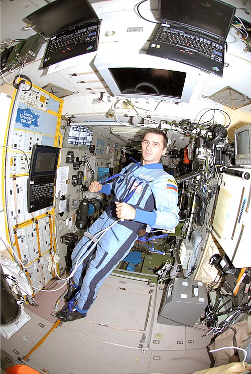 Fayl:YMalenchenko Expedition16.jpg