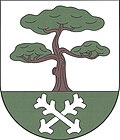 Borovnička