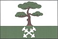 Borovnička