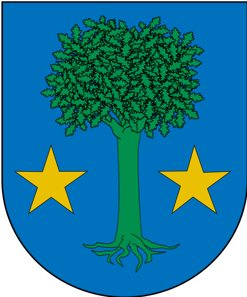 Fayl:Escudo de Allin.svg